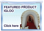 Our featured product - the inflatable igloo!